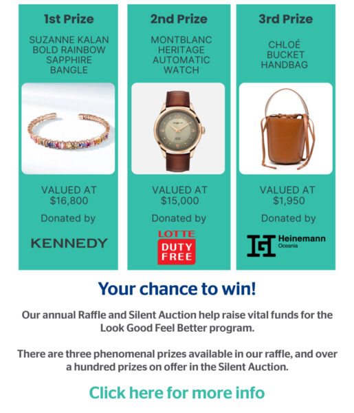 2025 raffle & silent auction website pop up